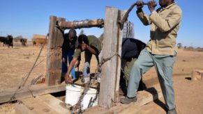 How Debswana stole from Boteti farmers